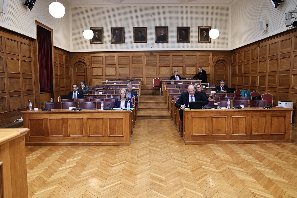 Εξεταστική Επιτροπή ΟΠΕΚΕΠΕ