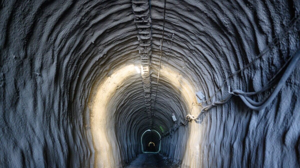 ΣΚΟΥΡΙΕΣ ΕΛΛΗΝΙΚΟΣ ΧΡΥΣΟΣ