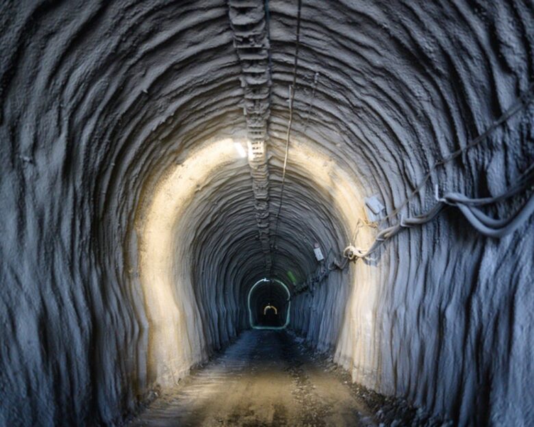 ΣΚΟΥΡΙΕΣ ΕΛΛΗΝΙΚΟΣ ΧΡΥΣΟΣ