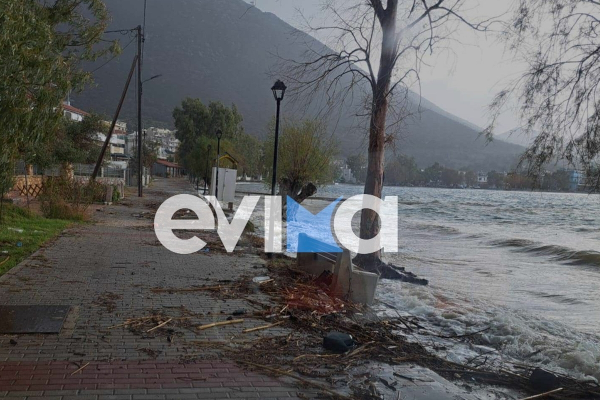 Εύβοια: Δεκάδες καταστροφές από την κακοκαιρία - Δρόμοι και πεζοδρόμια έγιναν ποτάμια, δέντρο ξεριζώθηκε και έπεσε