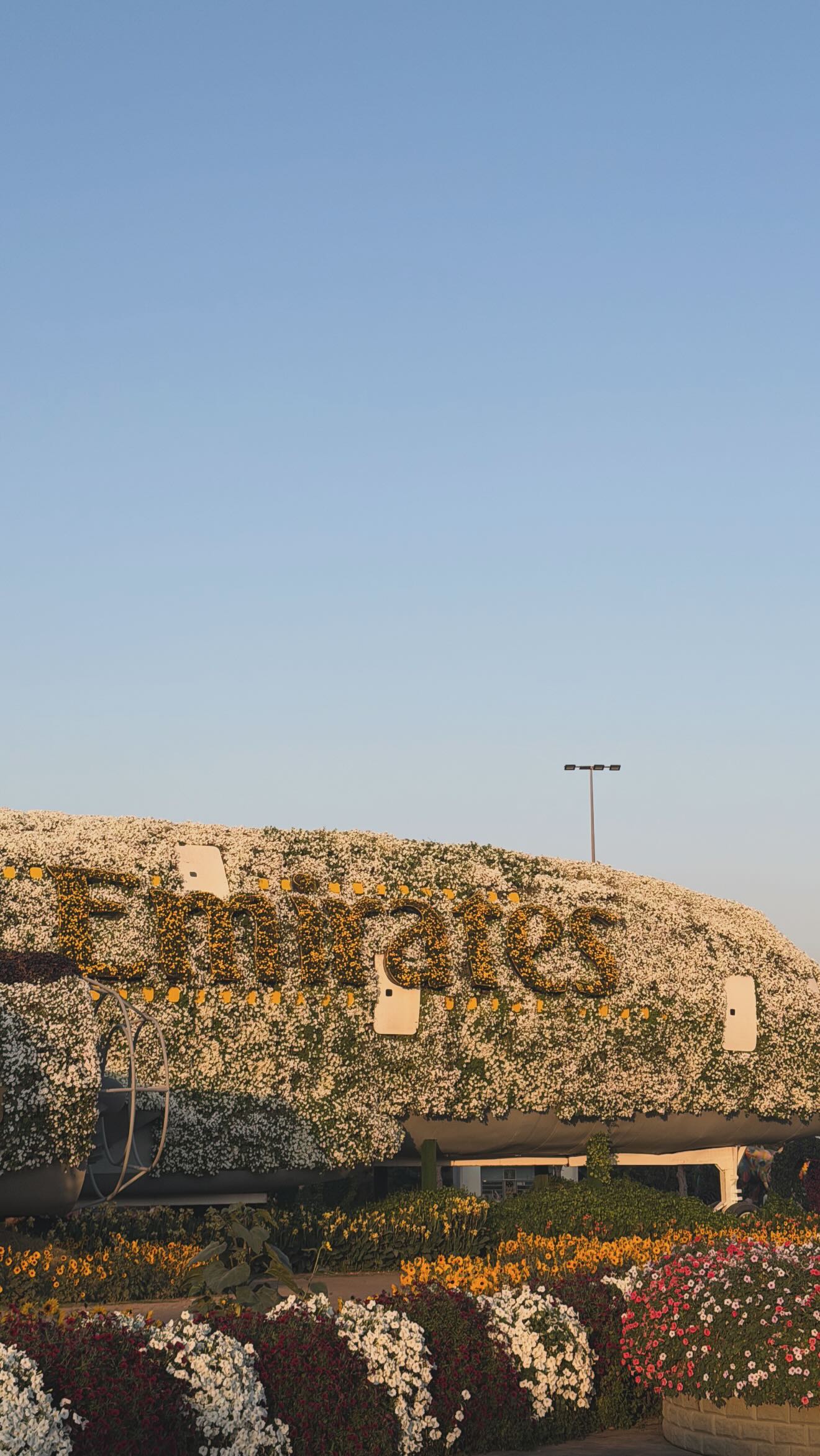 garifalia kalhfwnh dubai