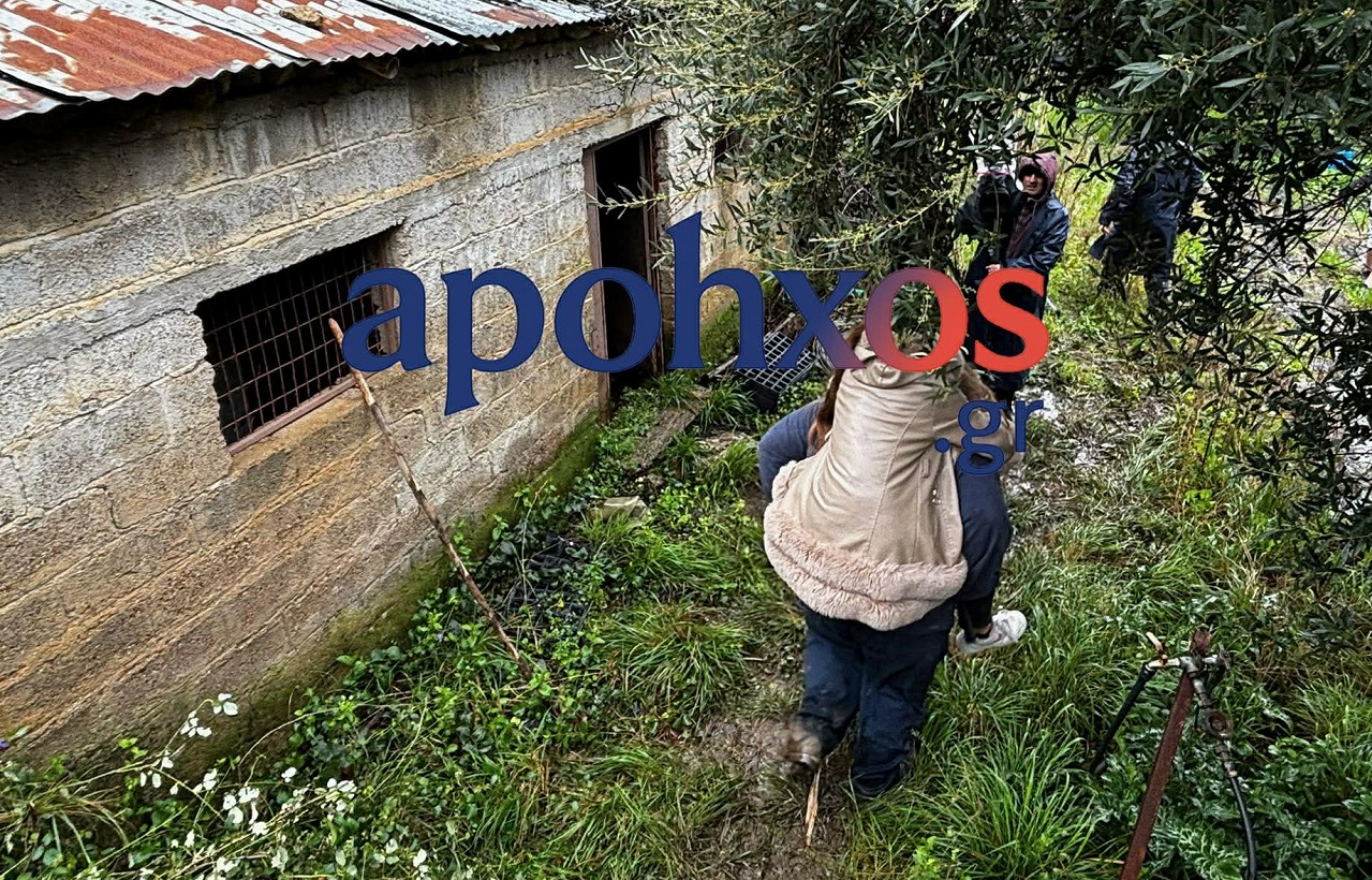 ileia mazaraki katolisthisi