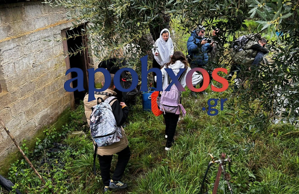 ileia mazaraki katolisthisi