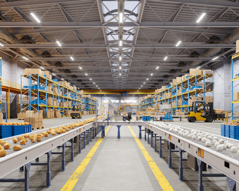 Close-up Of Potatoes And Onions On Production Line In Factory