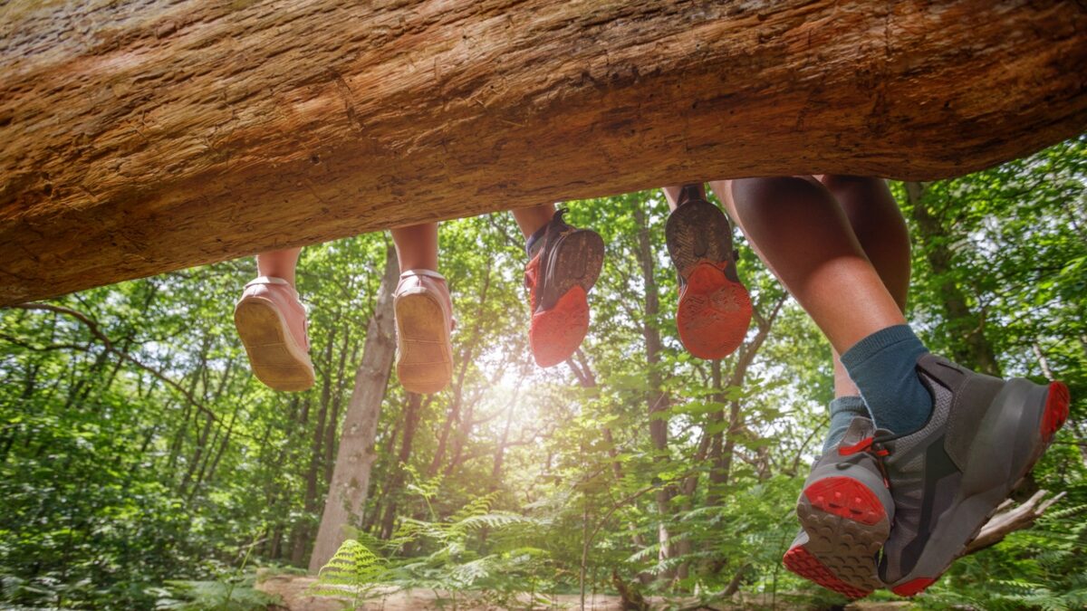 Four pairs of legs dangle from a log, their colorful shoes contrasting with the lush green forest backdrop as sunlight filters through the trees.