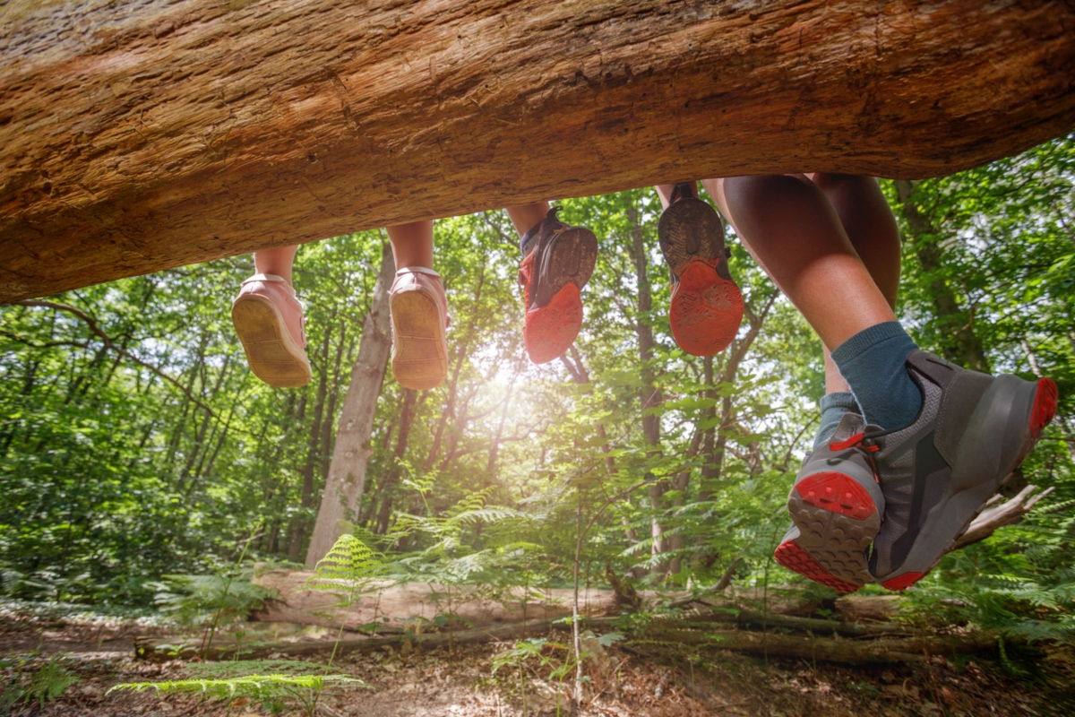 Four pairs of legs dangle from a log, their colorful shoes contrasting with the lush green forest backdrop as sunlight filters through the trees.