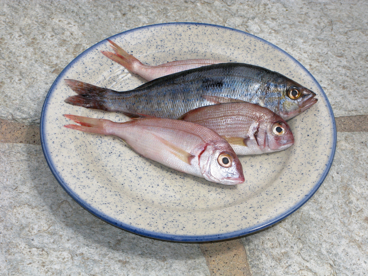 Fresh catch. Raw fish on plate. Fishes of pink and blue colors.