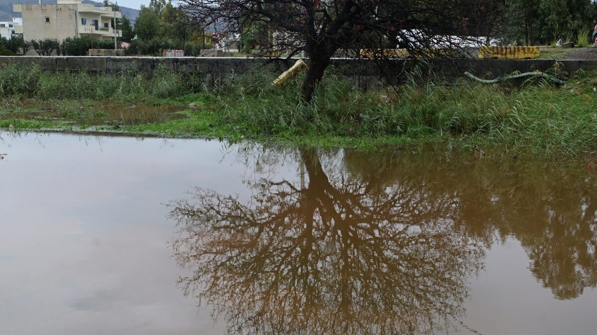 Φωτογραφία αρχείου