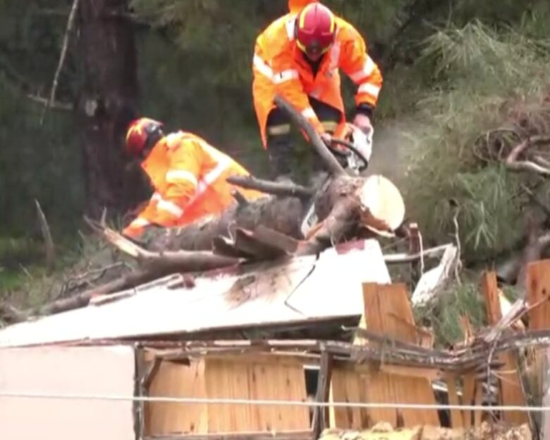 Δέντρο σε σπίτι