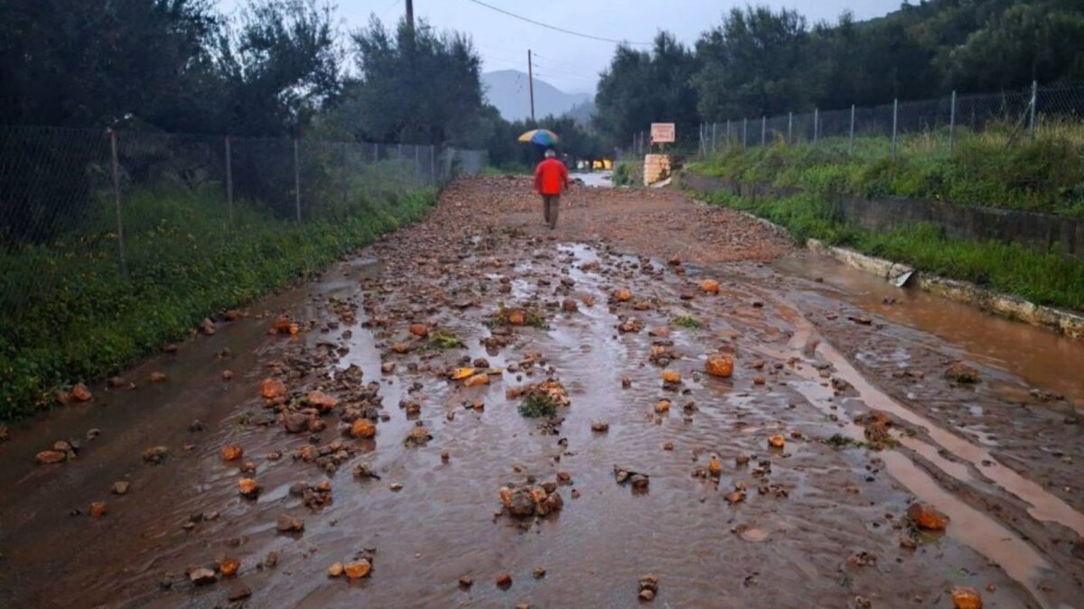 Φωτογραφία από tharrosnews.gr