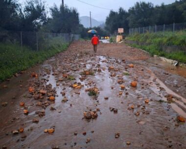 Φωτογραφία από tharrosnews.gr