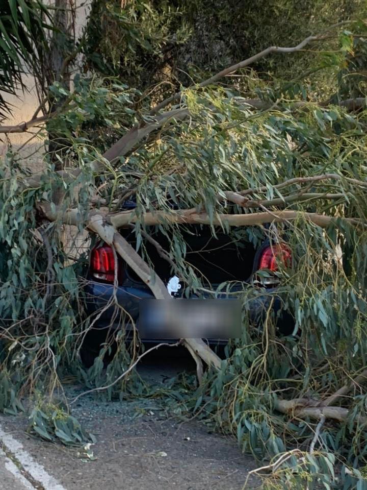 Φωτογραφία από patris.gr