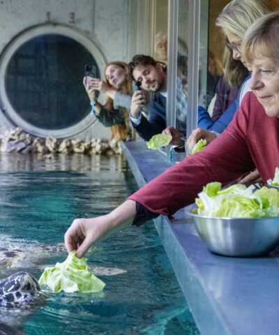 Ανγκελα Μέρκελ