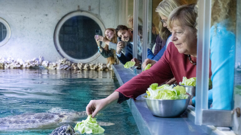 Ανγκελα Μέρκελ