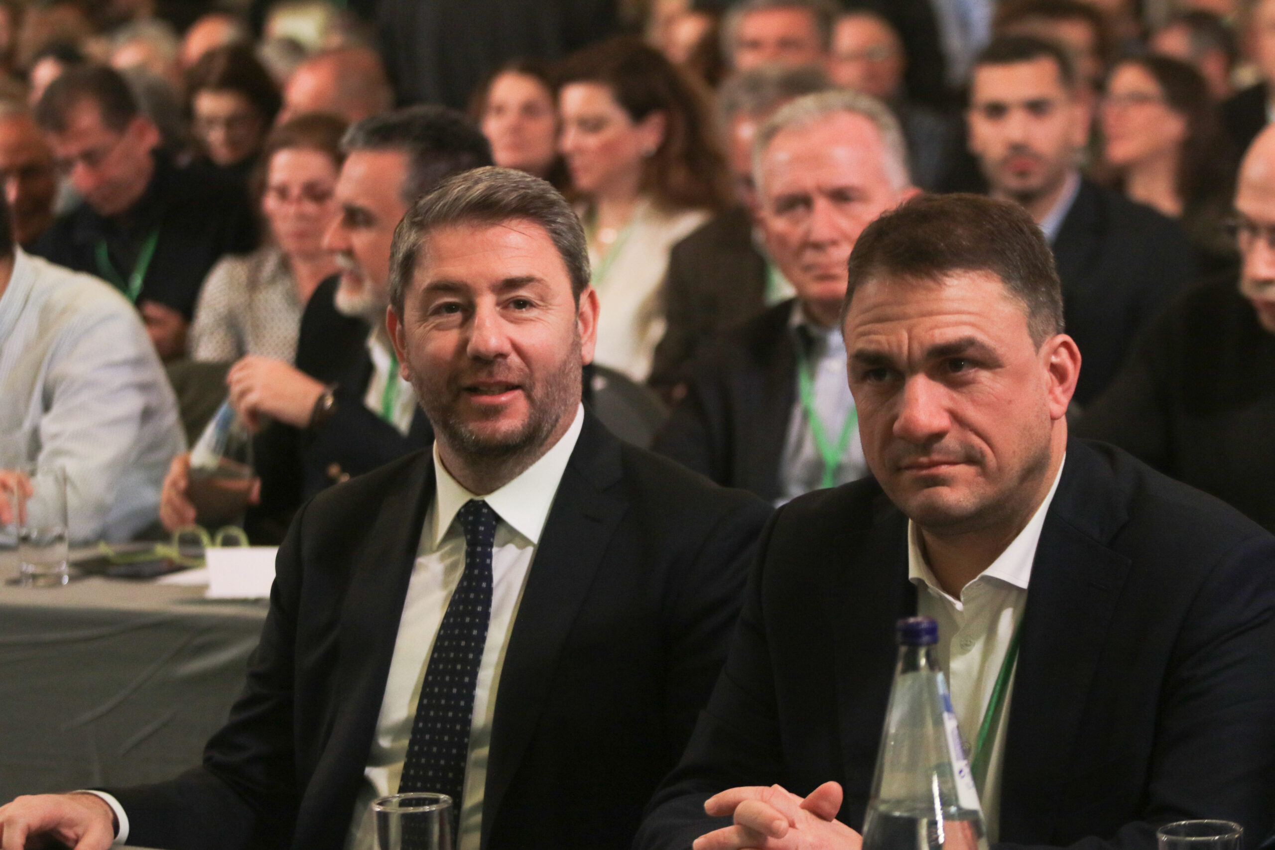 Νίκος Ανδρουλάκης