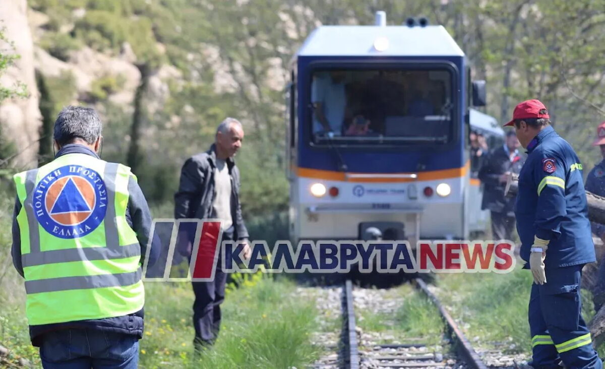 Οδοντοτωτός