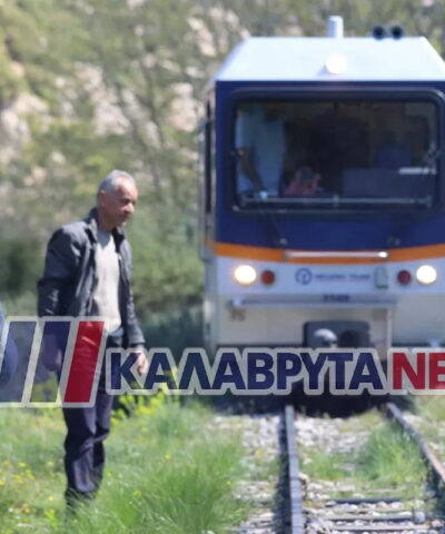 Οδοντοτωτός