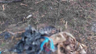 Ανθρώπινα οστά