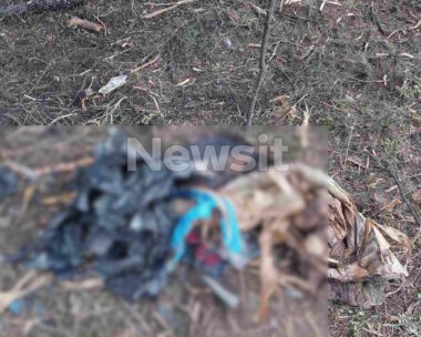 Ανθρώπινα οστά