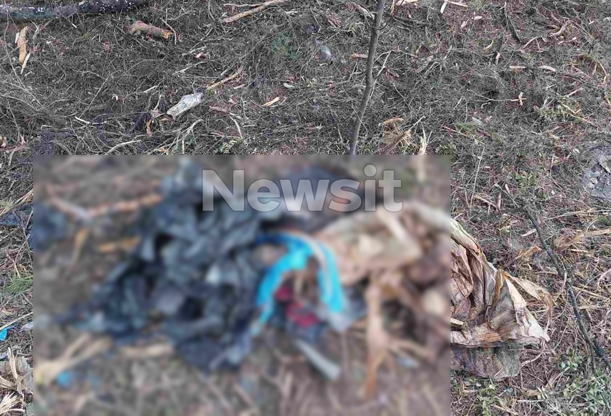 Ανθρώπινα οστά