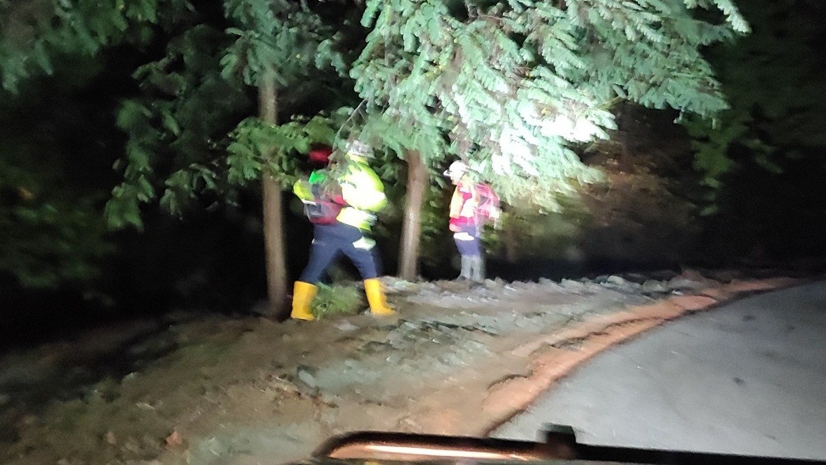 Διάσωση δύο φίλων στον Παρνασσό