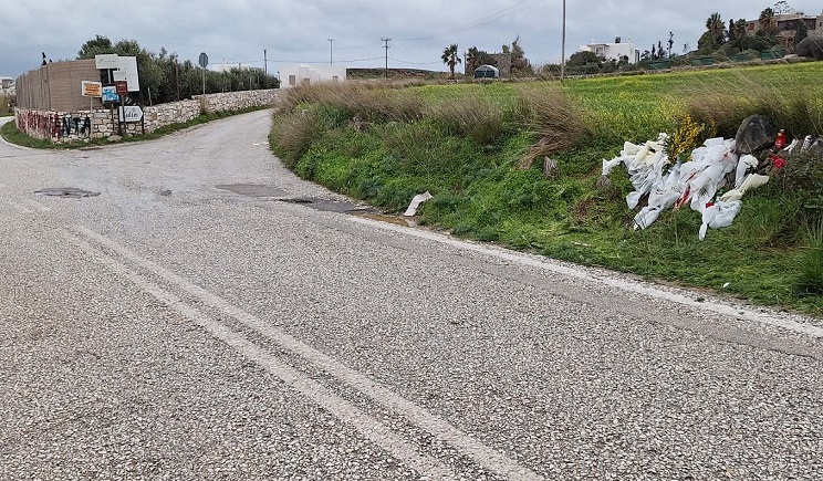 Λουλούδια και κεριά στο σημείο τροχαίου με έναν 18χρονο νεκρό στην Πάρο