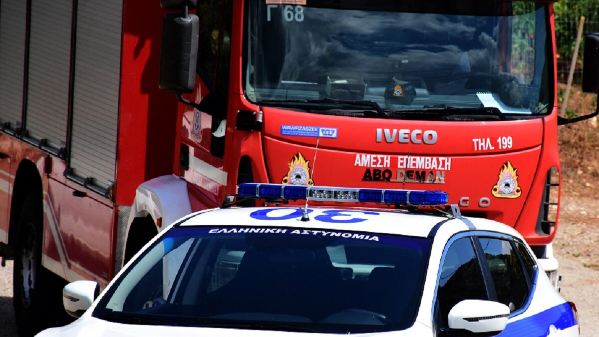 ΦΩΤΟ ΑΡΧΕΙΟΥ ΒΑΣΙΛΗΣ ΠΑΠΑΔΟΠΟΥΛΟΣ