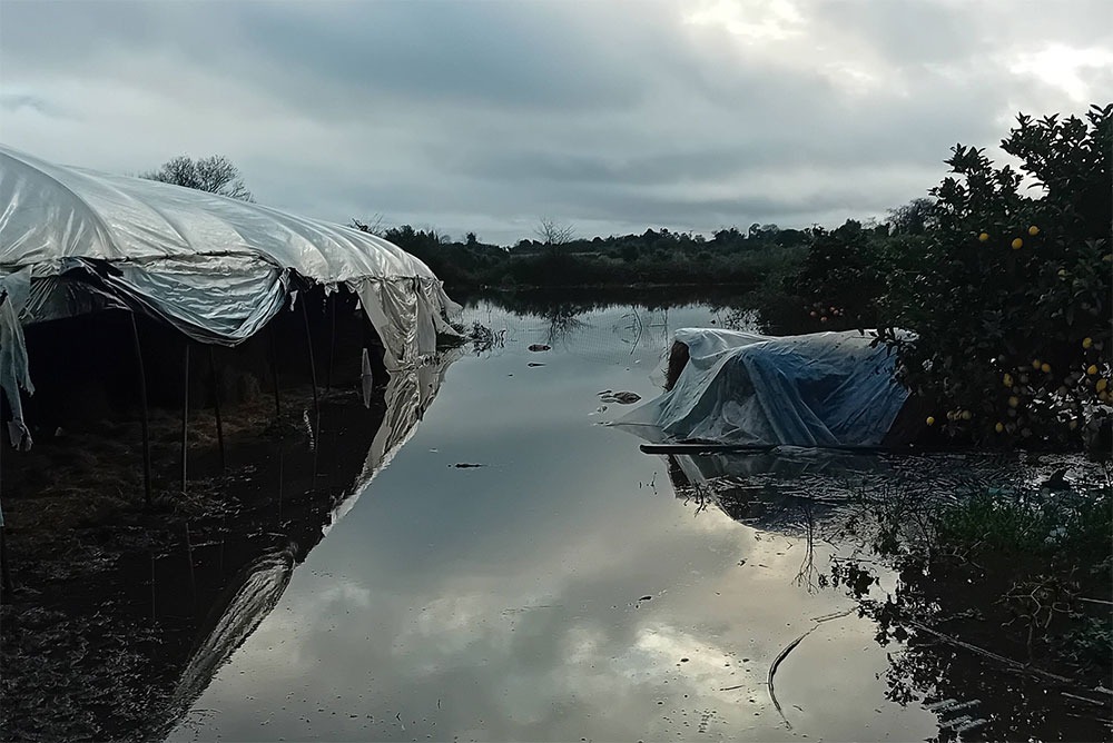 Φωτό: Ιωάννης Ντίτσος