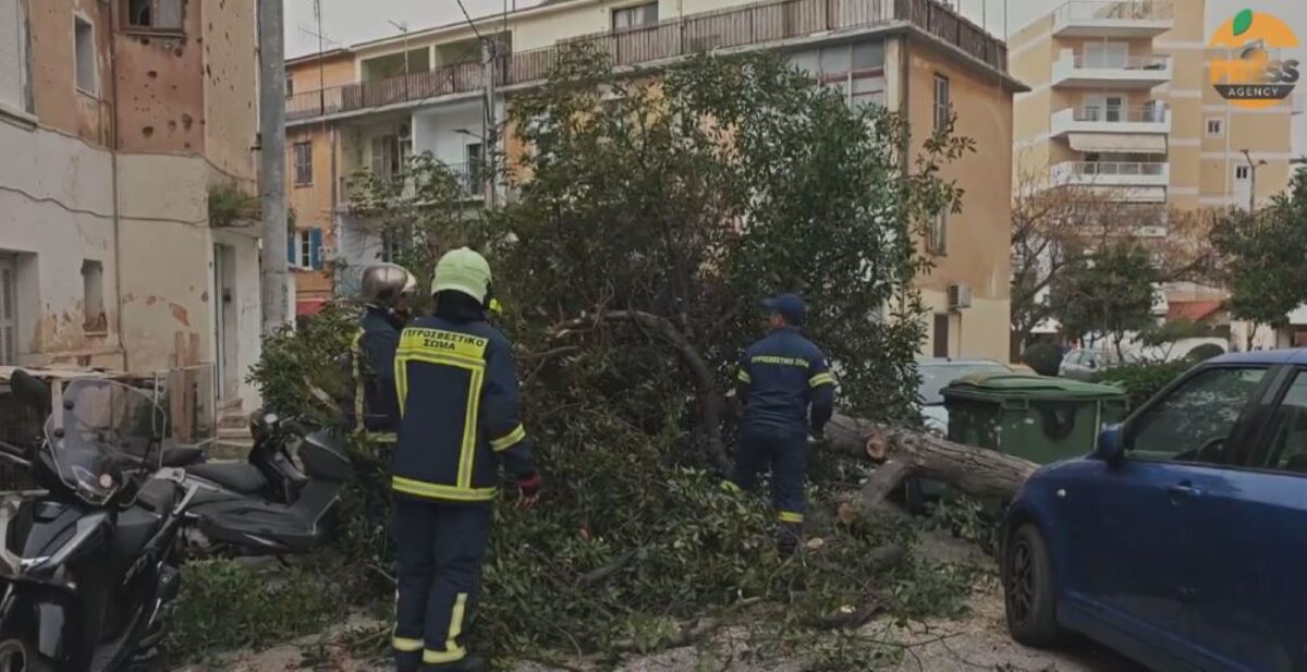 Πτώσεις δέντρων στην Αττική