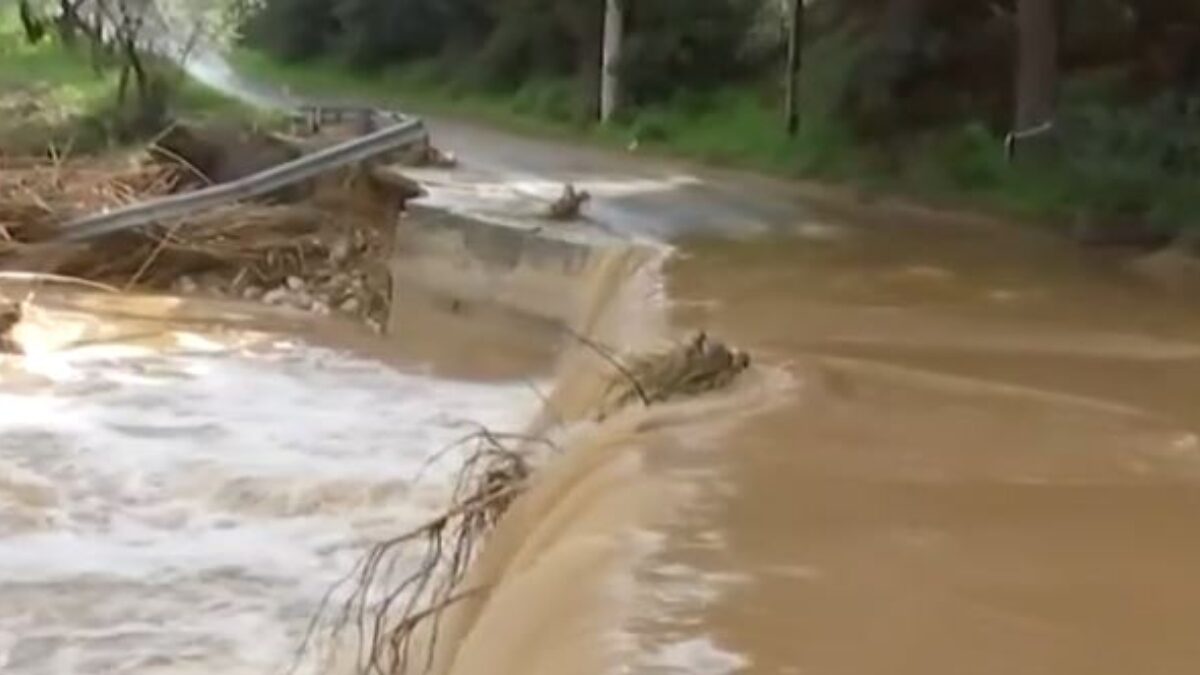 Ρέμα Πικέρμι