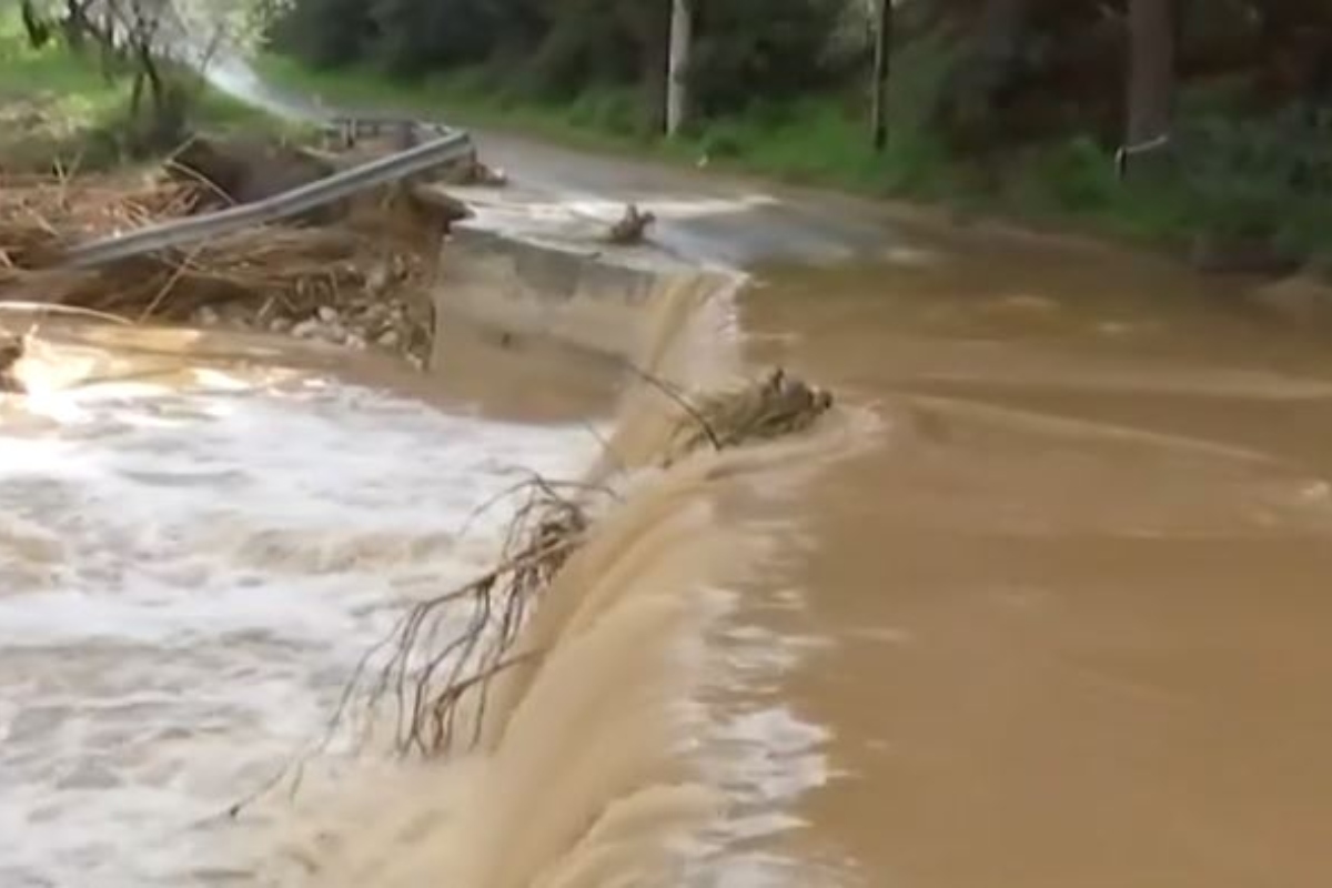 Ρέμα Πικέρμι