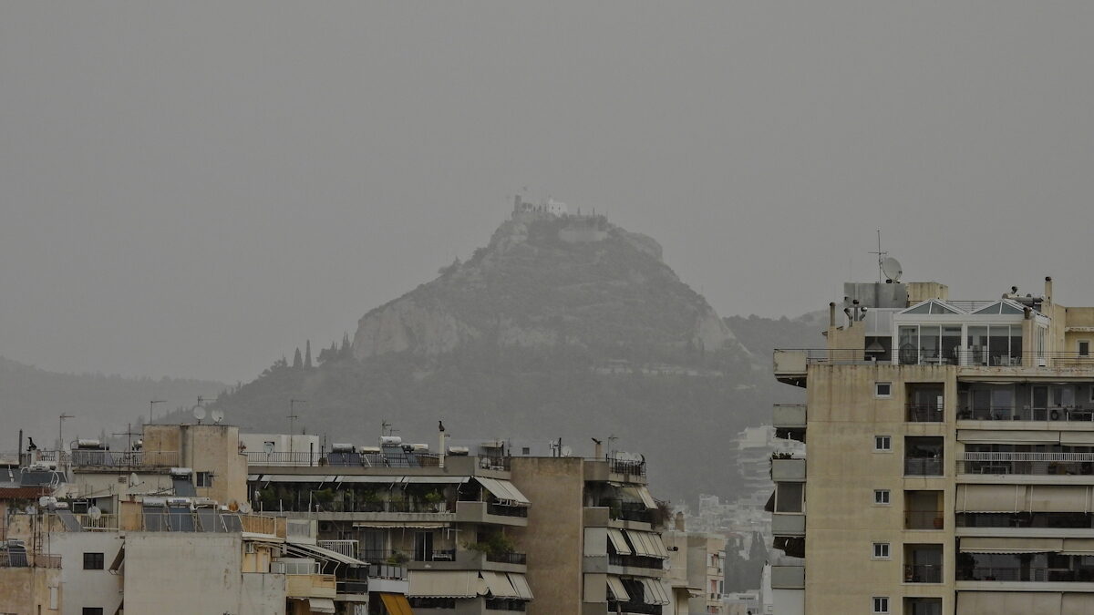 ΑΘΗΝΑ ΑΦΡΙΚΑΝΙΚΗ ΣΚΟΝΗ