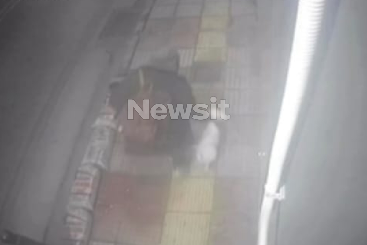 Η γυναίκα που φέρεται να έκλεψε τον σκύλο