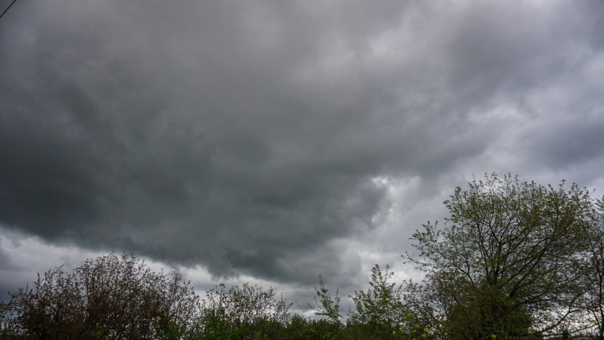 ΦΩΤΟΓΡΑΦΙΑ ΑΡΧΕΙΟΥ ΘΑΝΑΣΗΣ ΚΑΛΛΙΑΡΑΣ