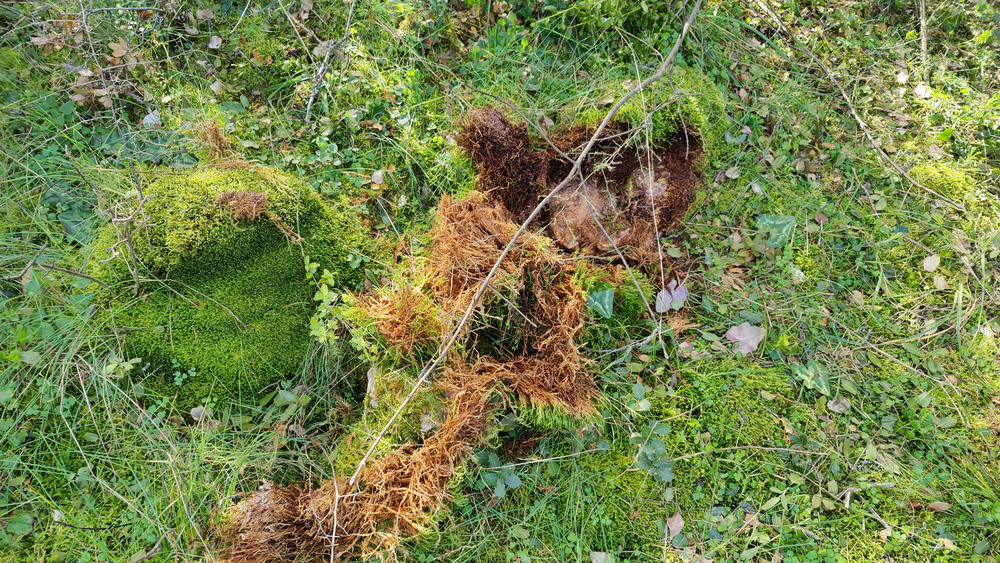 Έσκαβαν για αρχαία σε αρχαιολογικό χώρο στη Θεσσαλονίκη