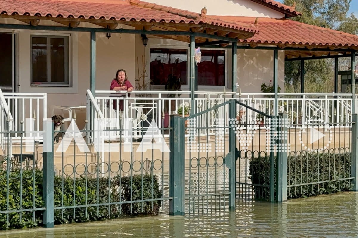 vartholomios plummhra