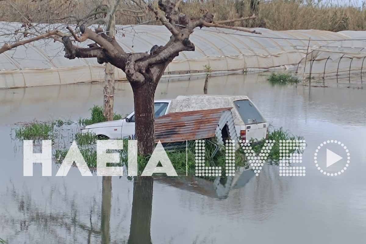 vartholomios plummhra