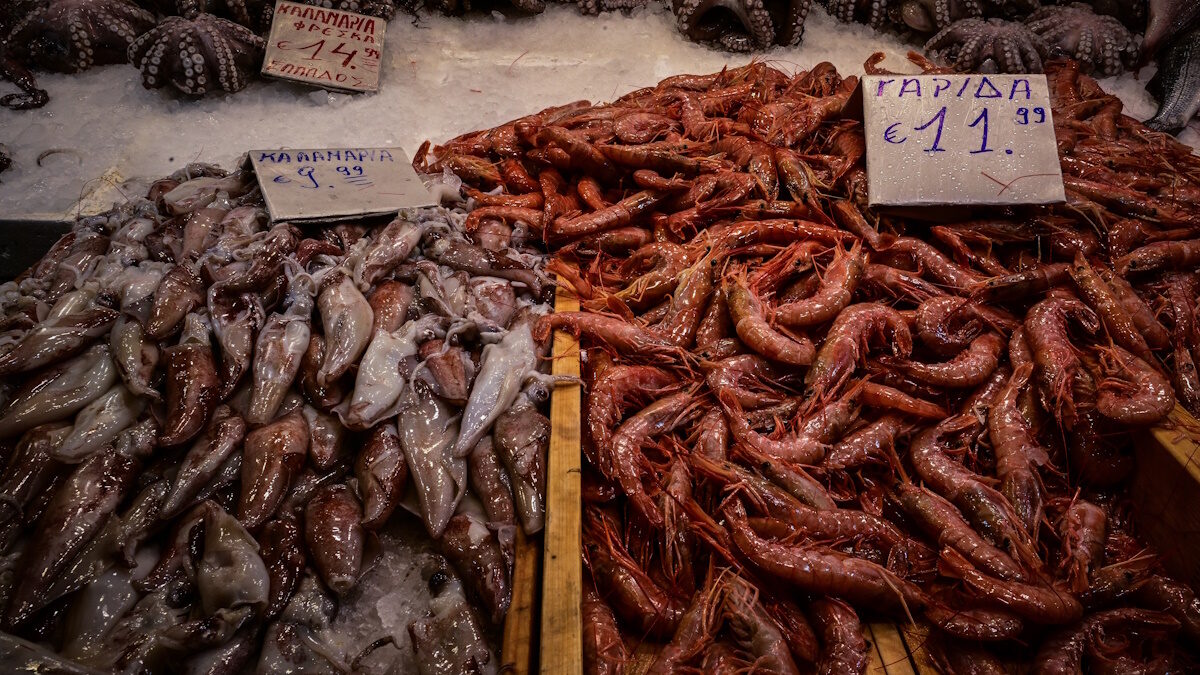 ΤΑΤΙΑΝΑ ΜΠΟΛΑΡΗ