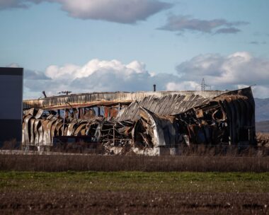 ΘΑΝΑΣΗΣ ΚΑΛΛΙΑΡΑΣ
