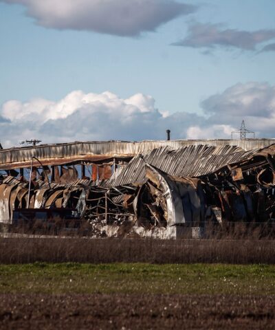 ΘΑΝΑΣΗΣ ΚΑΛΛΙΑΡΑΣ