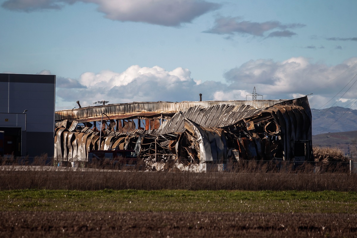 ΘΑΝΑΣΗΣ ΚΑΛΛΙΑΡΑΣ