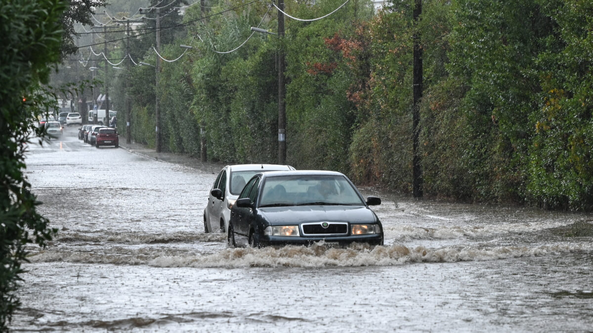 ΦΩΤΟΓΡΑΦΙΑ ΑΡΧΕΙΟΥ ΜΙΧΑΛΗΣ ΚΑΡΑΓΙΑΝΝΗΣ