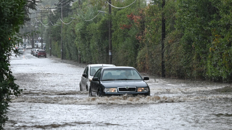 ΦΩΤΟΓΡΑΦΙΑ ΑΡΧΕΙΟΥ ΜΙΧΑΛΗΣ ΚΑΡΑΓΙΑΝΝΗΣ