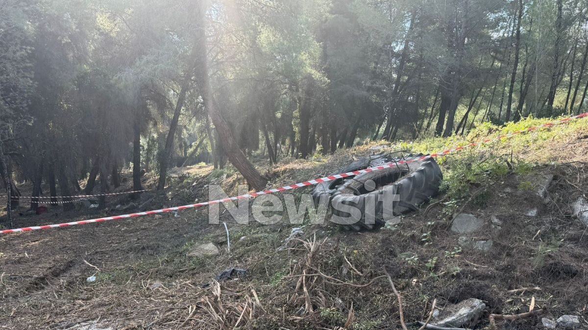 Το σημείο όπου βρέθηκε η σορός στη Χαλκιδική