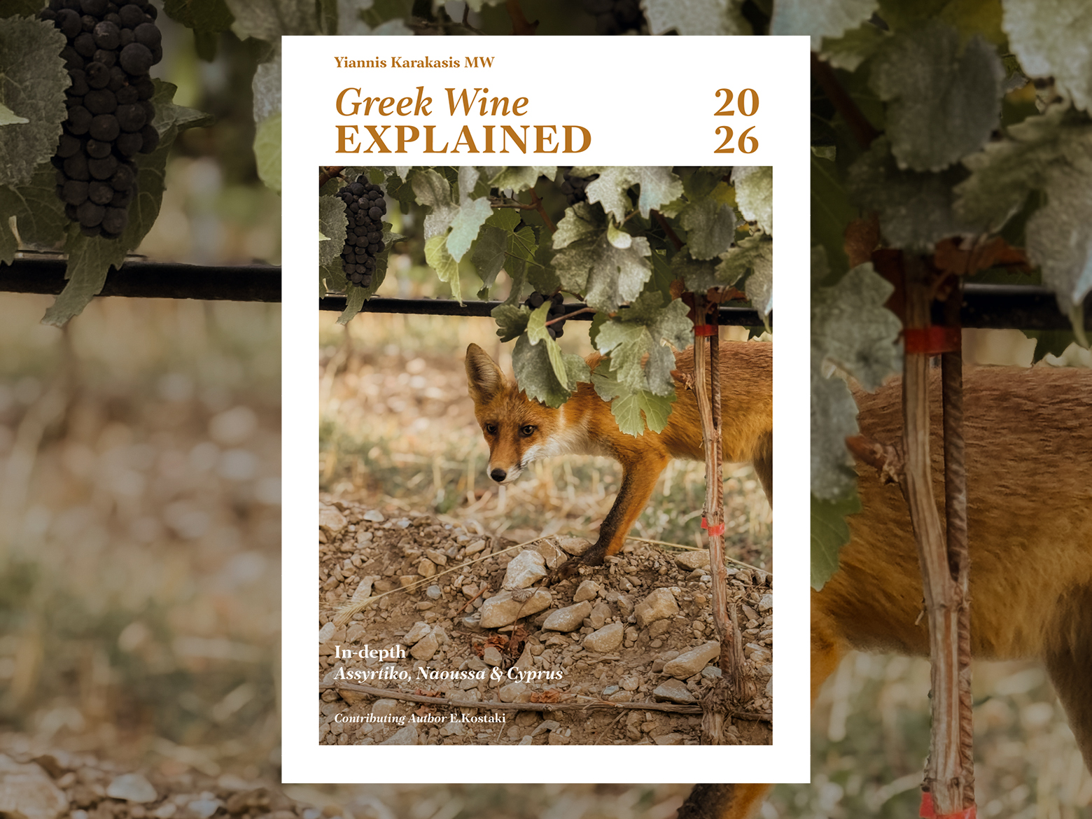 yk winereport samples