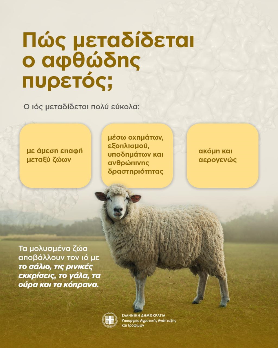 Αφθώδης πυρετός