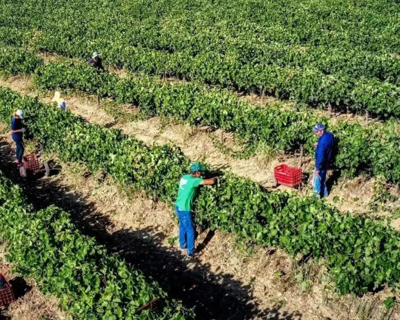 ΑΝΤΩΝΗΣ ΝΙΚΟΛΟΠΟΥΛΟΣ