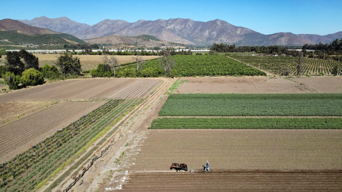 Αγρότης οργώνει το χωράφι του