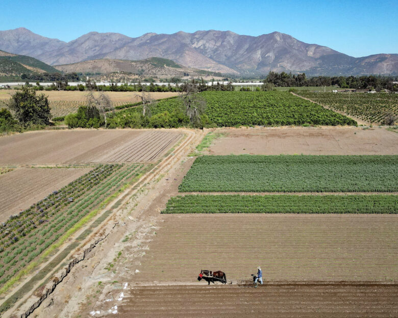 Αγρότης οργώνει το χωράφι του