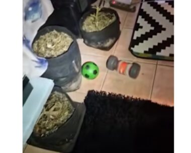 Το εργαστήριο κάνναβης στο Αιγάλεω